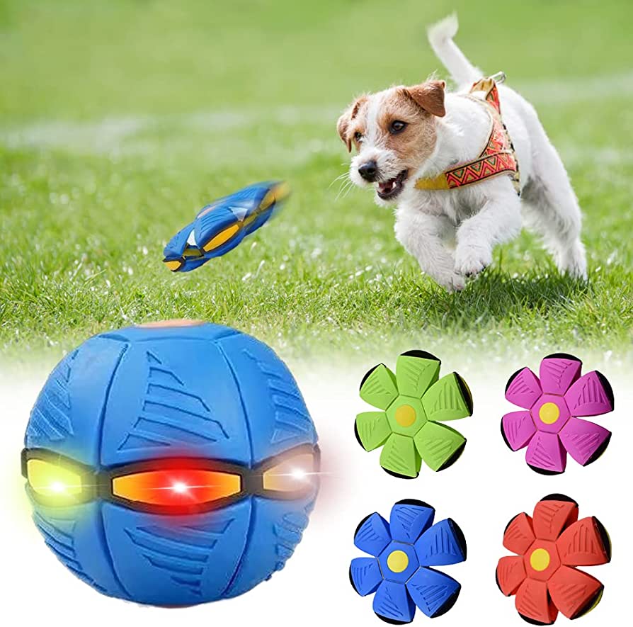 Pawzest™ Dog Frisbee