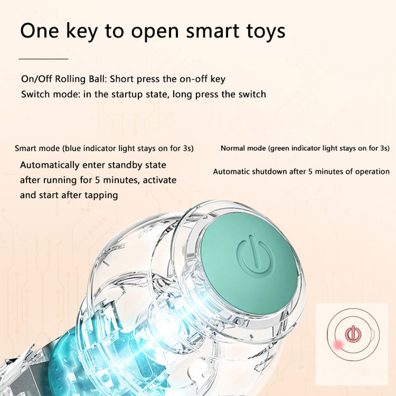 Pawzest
  Interactive Ball
