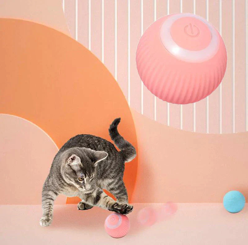 Pawzest
  Interactive Ball