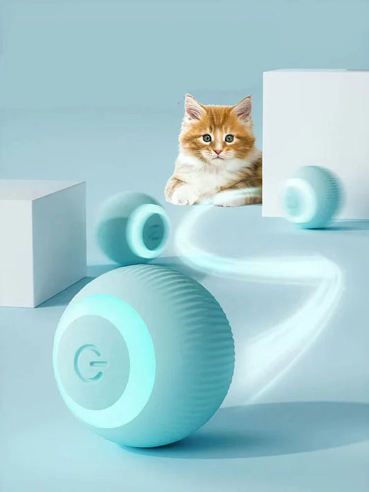 Pawzest
  Interactive Ball