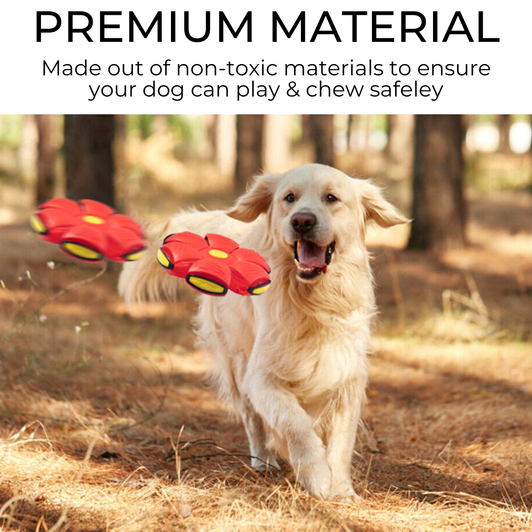 Pawzest™ Dog Frisbee