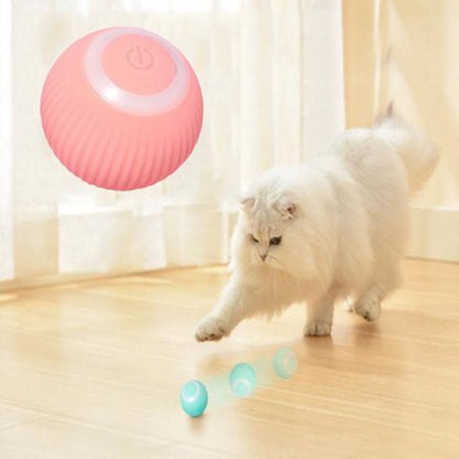 Pawzest
  Interactive Ball