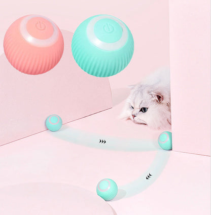 Pawzest
  Interactive Ball